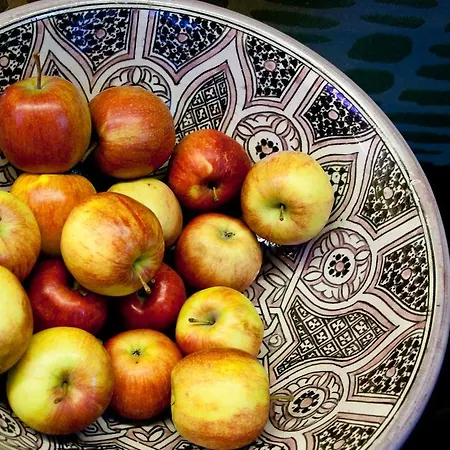 نالا إنديفيجول فندق 4*