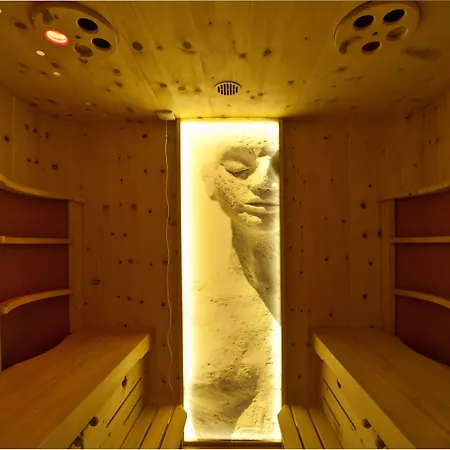 酒店 娜拉独立酒店 因斯布鲁克