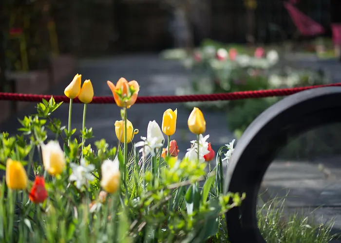 Nala Individuellhotel 3*